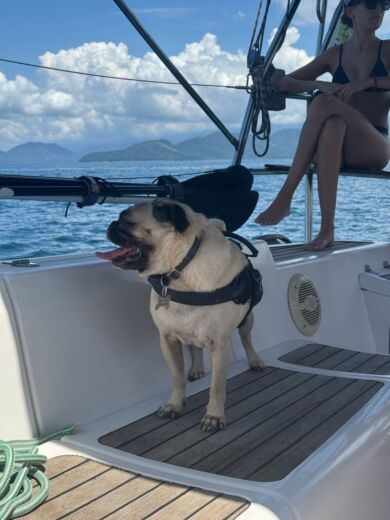 Ubatuba Sailboat Delta Delta 45 alt tag text