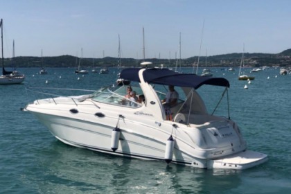 Location Bateau à moteur Sea Ray 315 Sundancer Aix-les-Bains