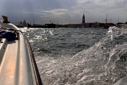 Let's all go boarding!