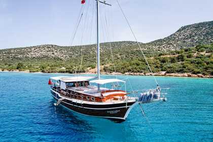 MT-41 15METERS 2CABINS