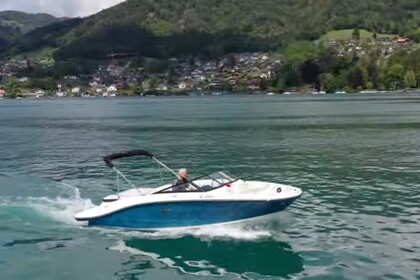 Sea Ray SPXE190 (mit Skipper)