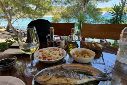 Insidias Fly 200 HP- FREE FUEL AND SKIPPER