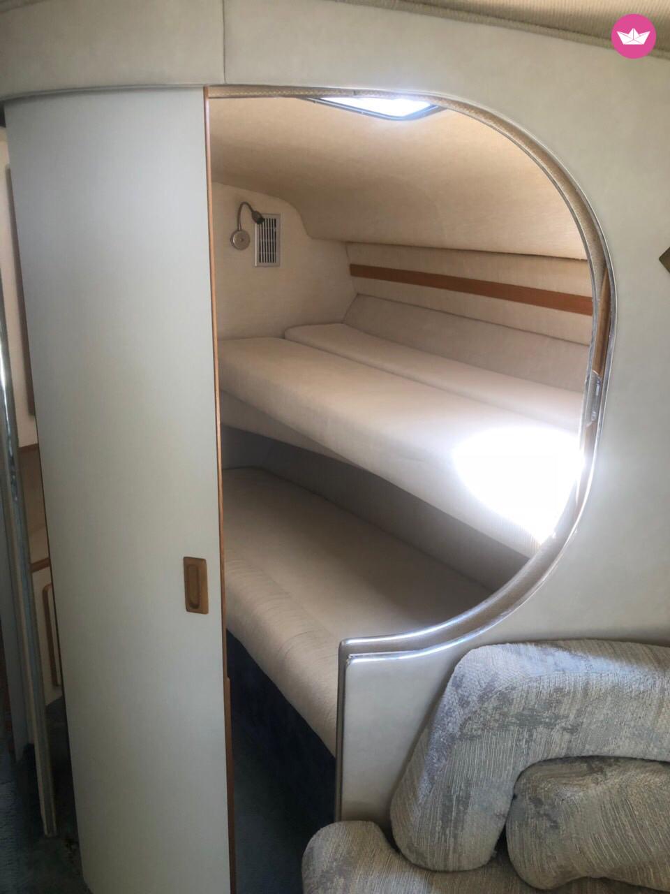 Motorboat Sea Ray 455  