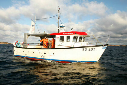 Чартер Моторная яхта Stigfjord 37 Фьельбака