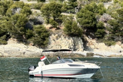 Charter Motorboat Bayliner Vr5 Cuddy Monaco