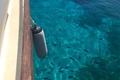 POLLENSA BAY EXCURSIONS