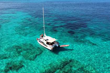 Rental Catamaran J.K Pipe & Sons LTD BobCat Catamaran 8M Sant Francesc Xavier