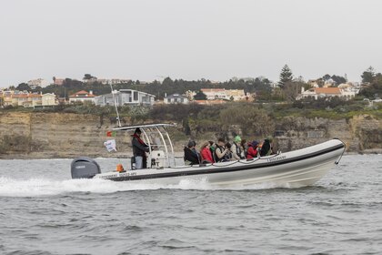 Rental RIB Vanguard TX860 Lisbon