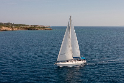 Dayily Cruises in Zakynthos!