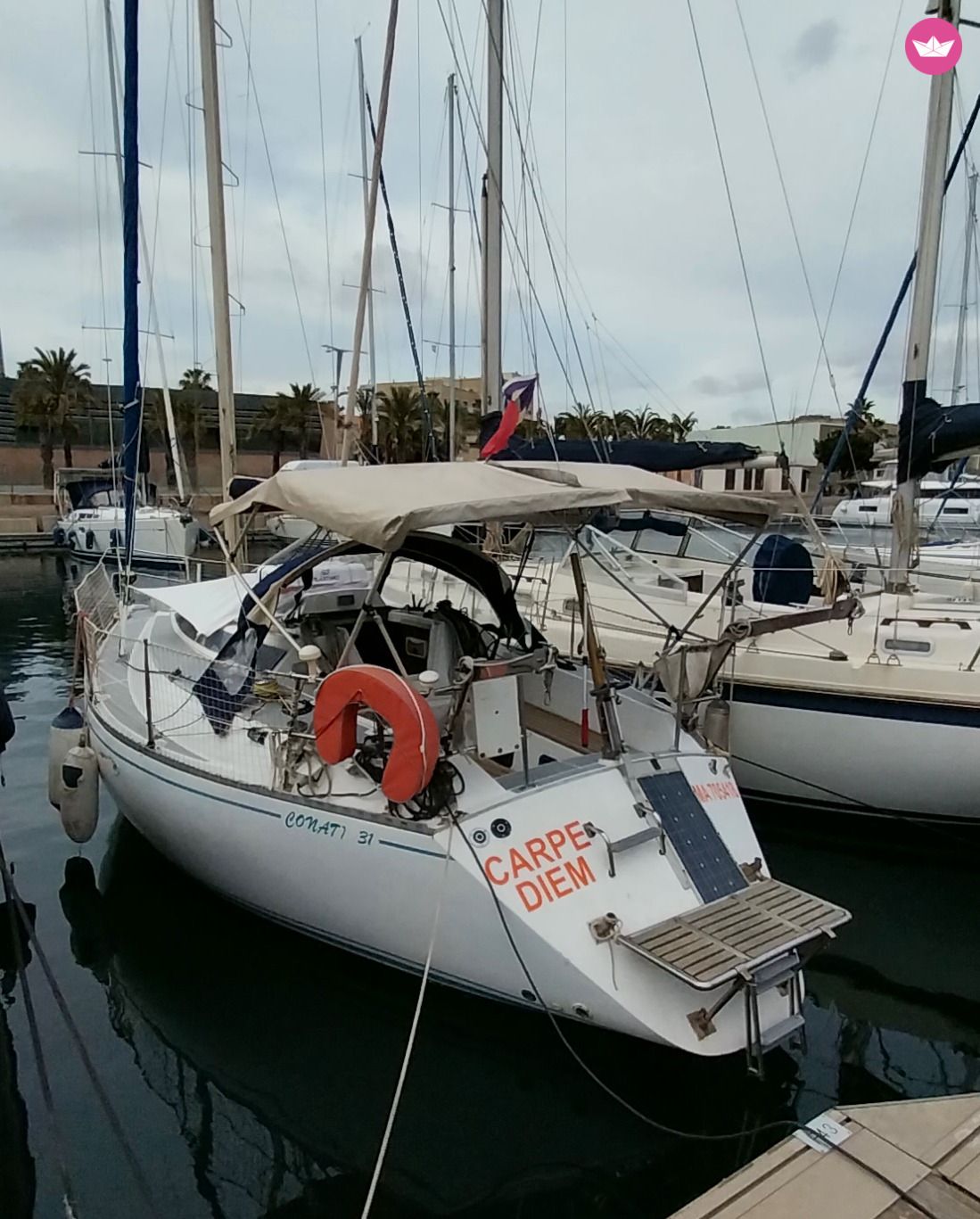 Conati 31