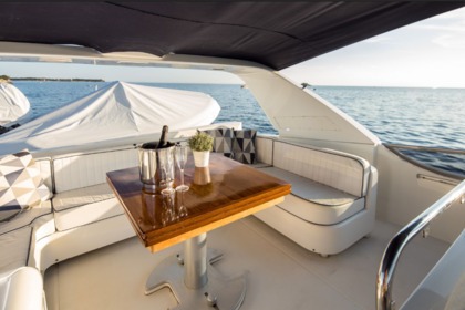 Lizard - San Lorenzo 72