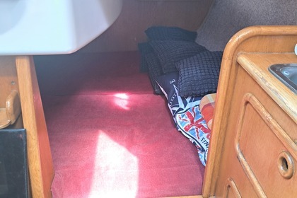 Janmor 28 sy Palomino Zalew wiślany.