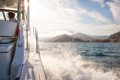 Pursuit 3400 "Express" 12 metres