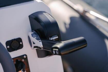 Tiger Marine Open 650