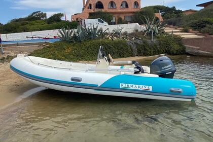 RIB Marine 535 - without license