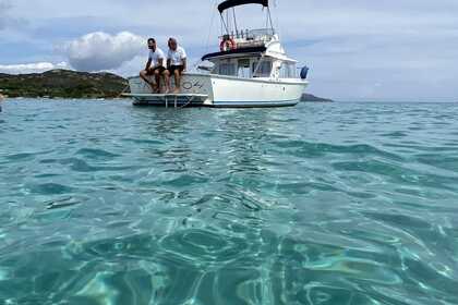 Hire Motorboat Bertram 31 Santa Teresa Gallura