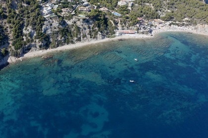 Quicksilver 755 Sundeck - Leon