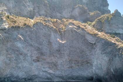 Sankalpa Eolie- rent with driver