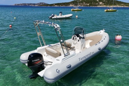 Noleggio Gommone Capelli Capelli Tempest 600 Porto Pollo