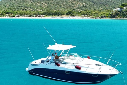 Charter Motorboat Sea Ray 290 Amberjack Cagliari
