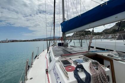 Dayily Cruises in Zakynthos!