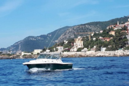 Pursuit 3400 "Express" 12 metres