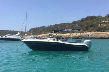 Charter Motorboat ALLEGRA 21 SUN Cala d'Or