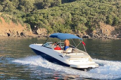 Hire Motorboat Sea Ray Sundeck 240 M'diq