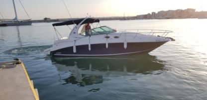 Location Bateau à moteur Sea Ray Sundancer 355 Torrevieja