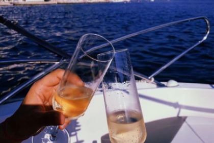 Quicksilver Commander 555