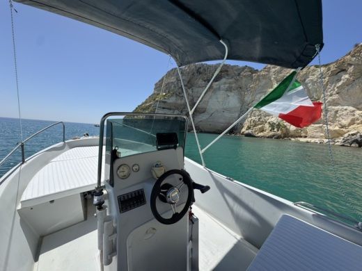 Evinrude E40DPL