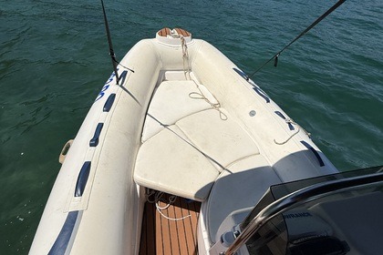 Noleggio Gommone Tiger Marine New Open Rovigno