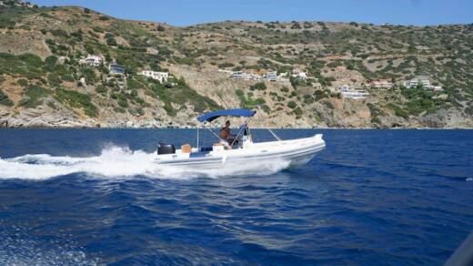 tigermarine 625
