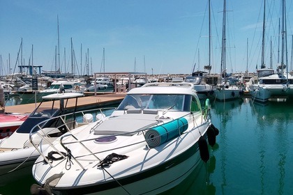 Hire Motor yacht Bavaria Bavaria 38 Positano