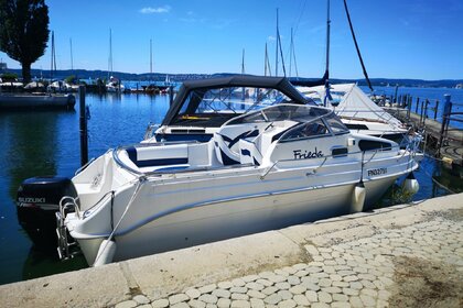 Charter Motorboat Drago Fiesta 660 Stein am Rhein