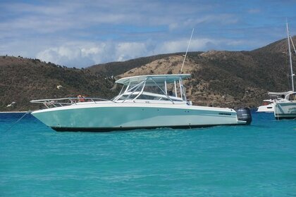 Charter Motorboat Contender 23 Road Town