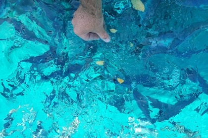 Insidias Fly 200 HP- FREE FUEL AND SKIPPER