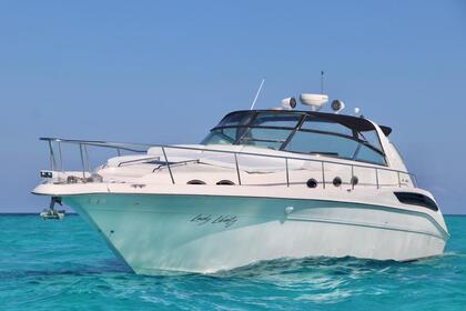 Naviga con stile: Sea Ray Sundancer