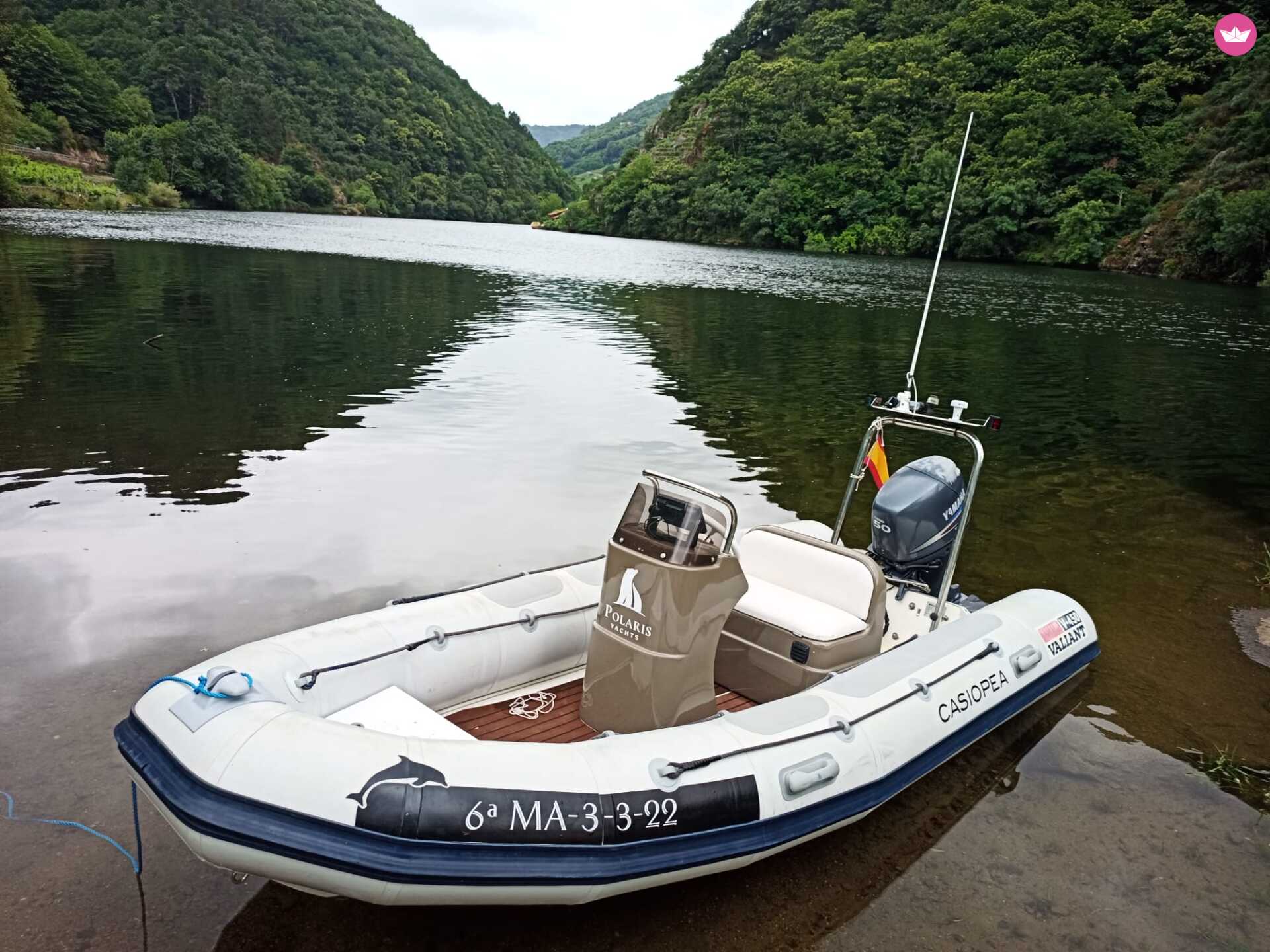 Semi-rigide Valiant V 450 50cv 2