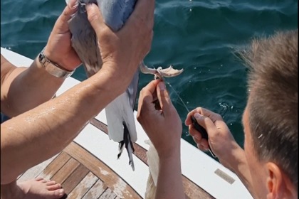 Sunseeker Portofino 48