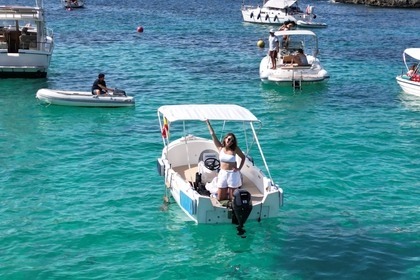 Hyra båt Båt utan licens  Pans Marine N450 Menorca