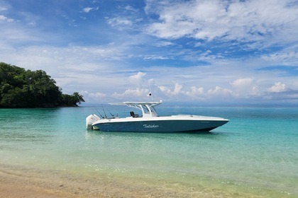 Rental Motorboat Todomar 38 Panama City