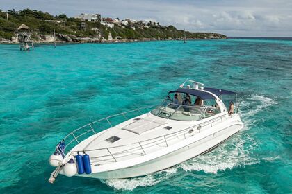 Hire Motorboat Sea Ray Sundancer Cancún