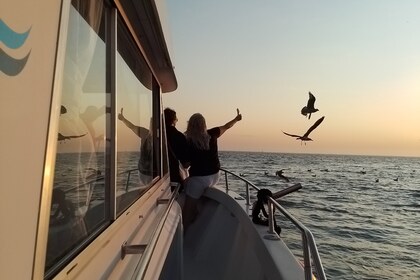 Tours in Cascais -  Rodman 1100