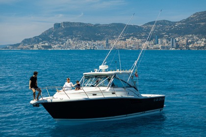 Motor Yacht Pursuit 3400 "Express"