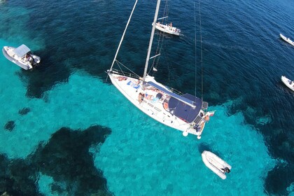 Rental Sailboat JEANNEAU Sun Odissey 43 Scugnizza Cannigione