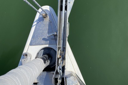 Croisières immersives First 50