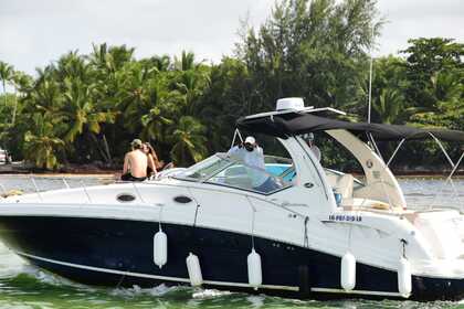 Hire Motorboat Sea Ray 340 Bávaro