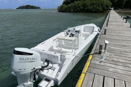 Charter Motorboat Excess Marine 26 Ft Le Robert