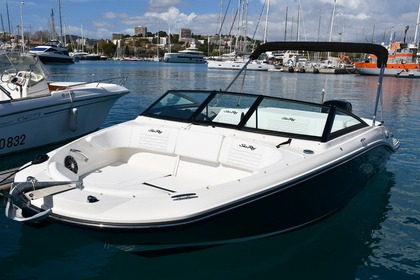 Miete Motorboot Sea Ray 190 SPX Sport 2024 Cannes